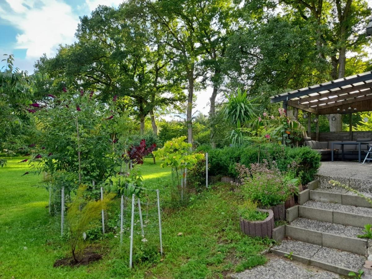 Haus Wald Und Wiese Wohnung Wald Ehndorf Exteriör bild